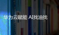 華為云賦能 AI找油找氣，催生石油工業(yè)迸發(fā)智慧力量