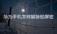 華為手機怎樣解除鎖屏密碼忘了（華為手機怎樣解除鎖屏密碼）