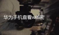 華為手機查看wifi密碼沒有連接（華為手機如何查看wifi密碼）