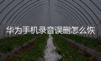 華為手機錄音誤刪怎么恢復（手機錄音誤刪怎么恢復）