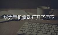 華為手機震動打開了但不震動怎么回事（華為手機震動打開了但不震動）