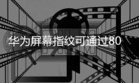 華為屏幕指紋可通過800微米玻璃準確工作,行業(yè)資訊