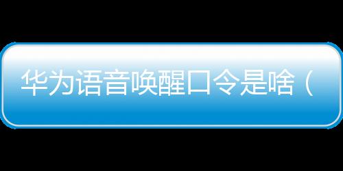 華為語音喚醒口令是啥（華為語音喚醒）