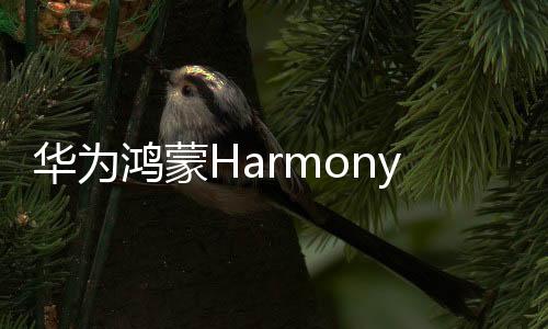 華為鴻蒙HarmonyOSNEXT500130版本更多細(xì)節(jié)曝光：新版游戲模式、自