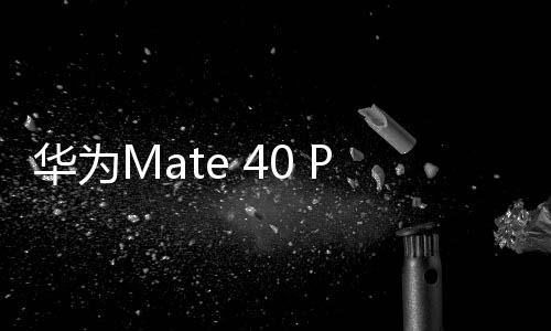 華為Mate 40 Pro智能手機注冊EMUI13測試版