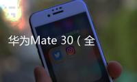 華為Mate 30（全網通）手機卡在開機畫面怎么辦?