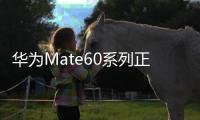 華為Mate60系列正式開(kāi)售 搭載麒麟9000S芯片