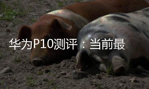 華為P10測評：當前最好的拍照手機【數碼&手機】風尚中國網