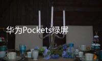 華為Pockets綠屏問題