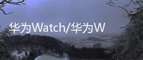 華為Watch/華為Watch如何查詢機(jī)票預(yù)訂