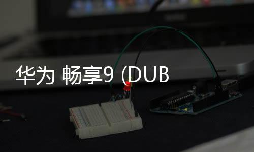 華為 暢享9 (DUB