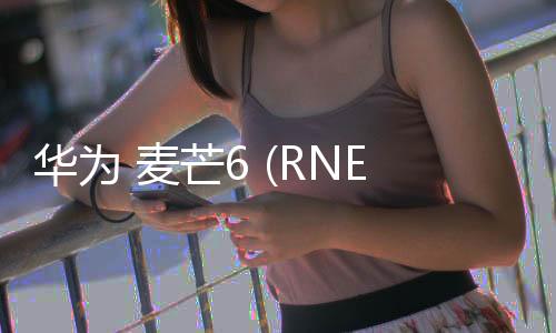 華為 麥芒6 (RNE