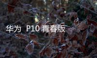 華為  P10 青春版（WAS