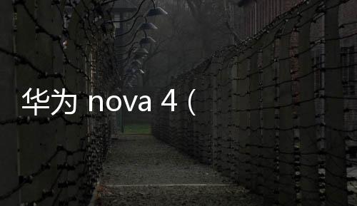 華為 nova 4 (BKL