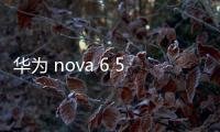 華為 nova 6 5G (WLZ