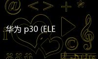 華為 p30 (ELE