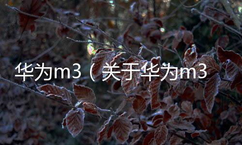 華為m3（關于華為m3的基本情況說明介紹）