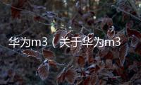 華為m3（關(guān)于華為m3的基本情況說(shuō)明介紹）