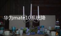 華為mate10系統降版本（華為Mate10怎么回退手機系統版本）