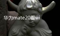 華為mate20看wifi密碼（華為mate20怎么開啟WLAN安全檢測）