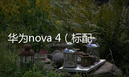 華為nova 4（標配版全網通）忘了手機密碼怎么辦？