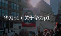 華為p1（關于華為p1的基本情況說明介紹）