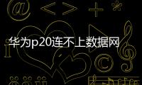 華為p20連不上數據網絡（華為P20無4G移動網絡解決方法）