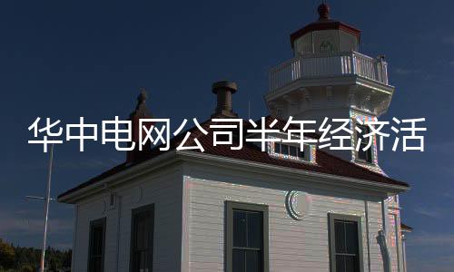 華中電網公司半年經濟活動分析會召開