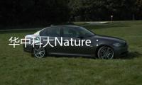 華中科大Nature：CO電催化還原制備乙酸鹽 – 材料牛