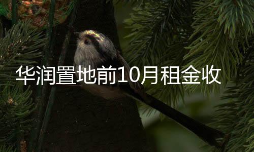 華潤置地前10月租金收入約100.5億 同比增長30.1%