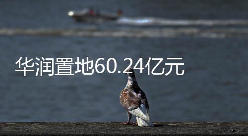 華潤置地60.24億元斬獲北京順義低密宅地