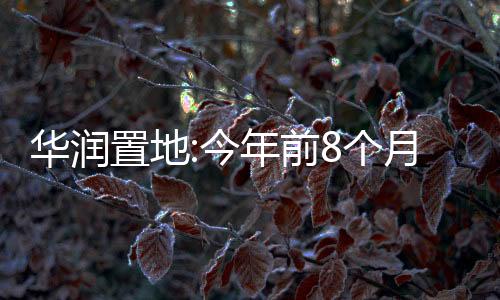 華潤置地:今年前8個月累計銷售額1554億元,同比下降25%