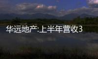 華遠地產:上半年營收39.34億元,同比增長22.81%