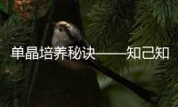 單晶培養(yǎng)秘訣——知己知彼，對癥下方，方能功成！ – 材料牛