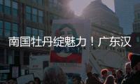 南國牡丹綻魅力！廣東漢劇“周五有戲·文化惠民”十周年專題晚會(huì)舉行