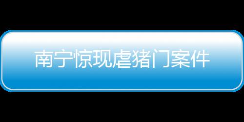 南寧驚現虐豬門案件