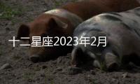 十二星座2023年2月財富運勢 2023年2月星座財富運勢詳解