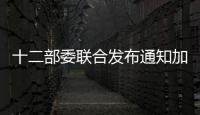 十二部委聯(lián)合發(fā)布通知加快實施信息惠民工程