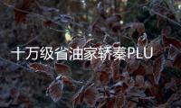 十萬級省油家轎秦PLUS平替試駕奇瑞風云A8