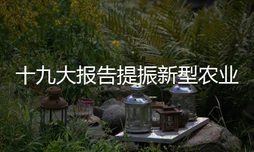 十九大報告提振新型農(nóng)業(yè)經(jīng)營主體發(fā)展信心