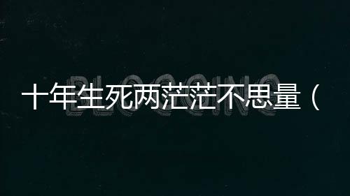 十年生死兩茫茫不思量（關(guān)于十年生死兩茫茫不思量的基本情況說明介紹）