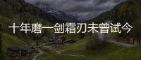 十年磨一劍霜刃未曾試今日把示君誰有不平事