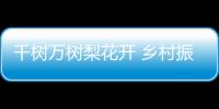 千樹萬樹梨花開 鄉村振興踏春來