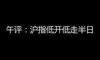 午評：滬指低開低走半日跌0.66%，前期熱門題材全線回調