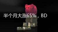 半個月大漲65%，BDI為何突然“起飛”？