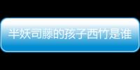 半妖司藤的孩子西竹是誰生的，司藤秦放之間有血緣關系嗎？