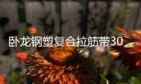 臥龍鋼塑復合拉筋帶30020C規格