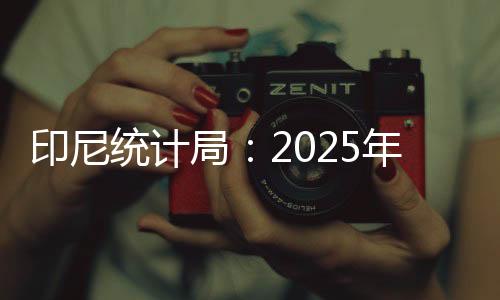 印尼統計局：2025年1
