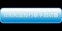 印尼和亞投行聯手啟動首個燃煤電廠退役協議！