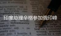 印度總理辛格參加俄印峰會(huì) 能源合作是重點(diǎn)